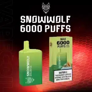 snowwolf 6000 puffs melon ice