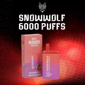 snowwolf 6000 puffs raspberry watermelon